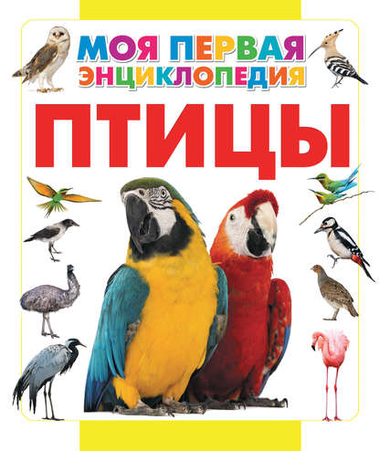 Птицы