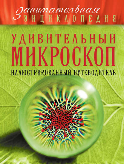 Удивительный микроскоп: иллюстрированный путеводитель