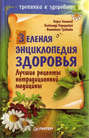 Электронная книга «Зеленая энциклопедия здоровья. Лучшие рецепты нетрадиционной медицины» – А. В. Кородецкий