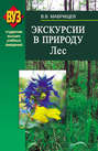 Экскурсии в природу. Лес