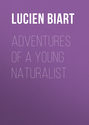 Adventures of a Young Naturalist