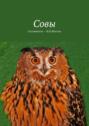 Совы