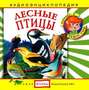 Лесные птицы