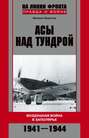 Асы над тундрой. Воздушная война в Заполярье. 1941-1944 годы