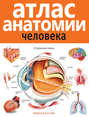 Электронная книга «Атлас анатомии человека»