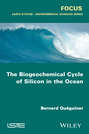 The Biogeochemical Cycle of Silicon in the Ocean