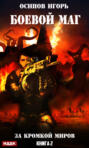 Боевой маг. За кромкой миров