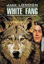 White Fang