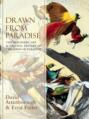Drawn From Paradise: The Discovery, Art and Natural History of the Birds of Paradise Drawn From Paradise: The Discovery, Art and Natural History of the Birds of Paradise