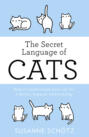 The Secret Language Of Cats