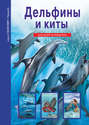 Дельфины и киты. Школьный путеводитель
