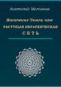 Население Земли как растущая иерархическая сеть