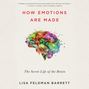 How Emotions Are Made. Secret Life of the Brain