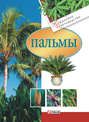 Электронная книга «Пальмы»