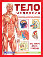 Электронная книга «Тело человека. Анатомия. Физиология. Здоровье»