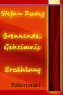 Brennendes Geheimnis - Erzählung