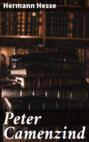 Peter Camenzind