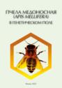 Электронная книга «Пчела медоносная (Apis mellifera) в генетическом поле. Эколого-генетические характеристики (pdf+epub)» – И. И. Горячева