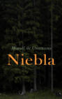 Niebla