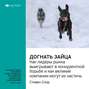 Ключевые идеи книги: Догнать зайца. Как лидеры рынка выигрывают в конкурентной борьбе и как великие компании могут их настичь. Стивен Спир