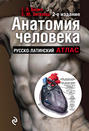 Электронная книга «Анатомия человека. Русско-латинский атлас» – Г. Л. Билич