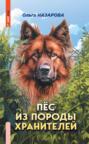Пёс из породы хранителей