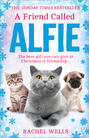 A Friend Called Alfie