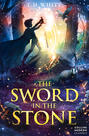The Sword in the Stone The Sword in the Stone