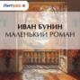 Маленький роман