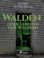 Walden oder Leben in den Wäldern