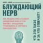 Блуждающий нерв. Что это такое и за что отвечает? Как воздействие на самый загадочный канал тела поможет преодолеть тревожность и улучшить самочувствие