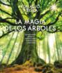 La magia de los árboles