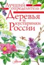 Электронная книга «Деревья и кустарники России. Определитель» – Ирина Пескова