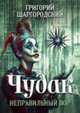 Чудак. Неправильный вор