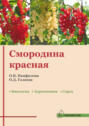Электронная книга «Смородина красная: биология, агротехника, сорта (методические рекомендации)» – О. В. Панфилова