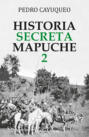 Historia secreta mapuche 2