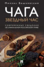 Чага. Звездный час. Современные сведения об уникальном российском грибе