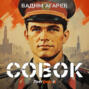Совок