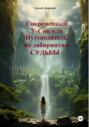 Современный У-Син или путеводитель по лабиринтам судьбы