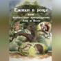 Ежики в роще или волшебное превращение Ани и Вани