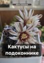 Электронная книга «Кактусы на подоконнике» – Денис Сальников