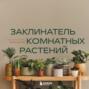 Аудиокнига «Заклинатель комнатных растений. Секретные лайфхаки от профессионального цветовода» – Евгения Лисова