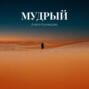 Мудрый