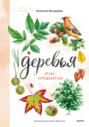 Электронная книга «Деревья. Атлас-определитель» – Алексей Бондарев