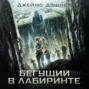 Бегущий в лабиринте