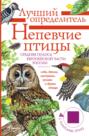 Непевчие птицы средняя полоса Европейской части России. С голосами птиц