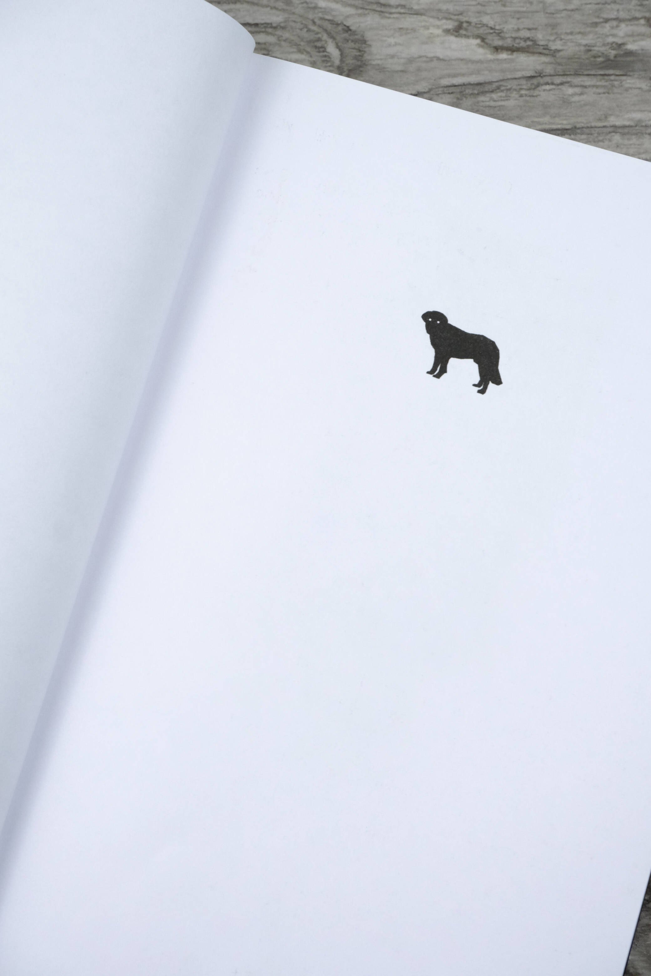 Изображение бумажной книги