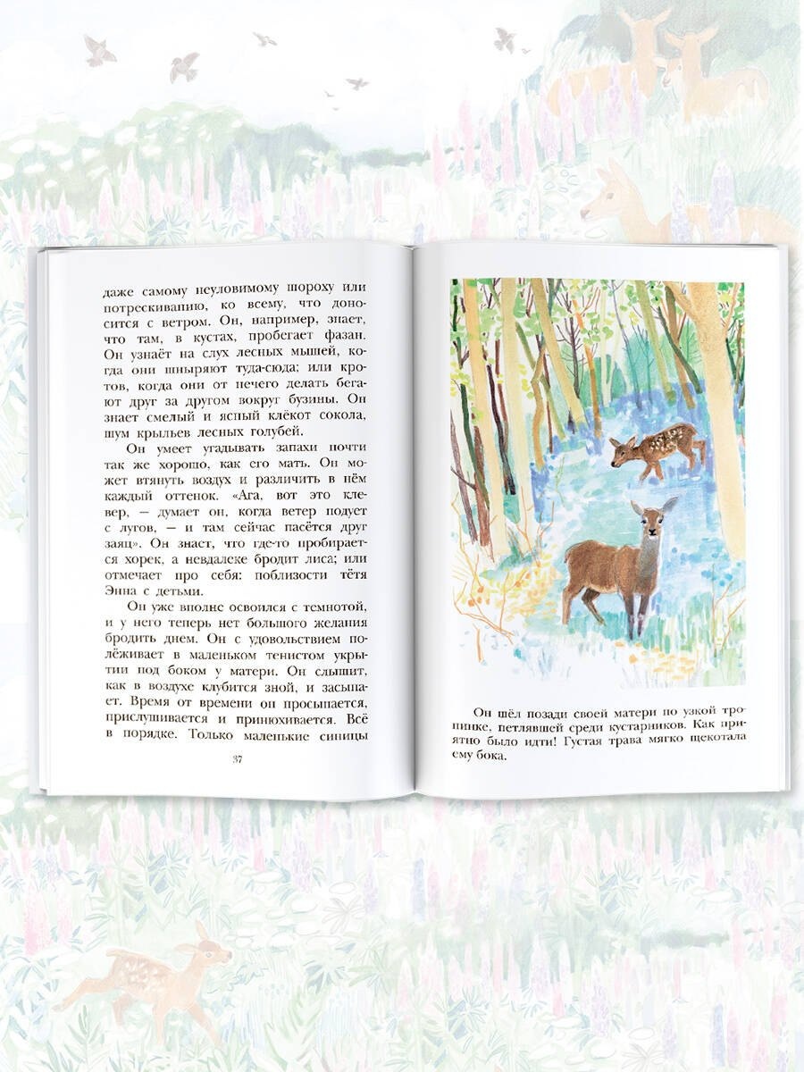 Изображение бумажной книги