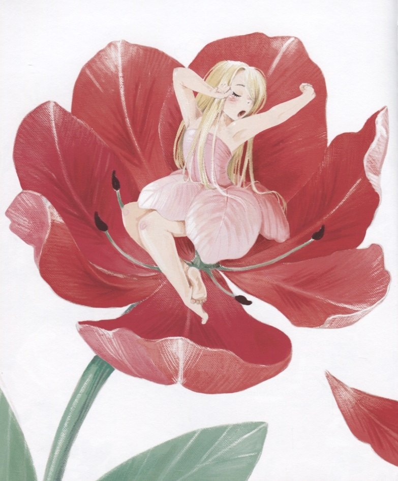 Изображение бумажной книги