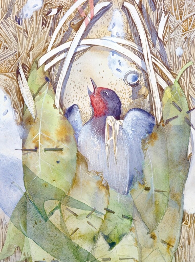 Изображение бумажной книги